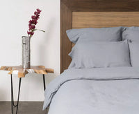Euro Shams view 9